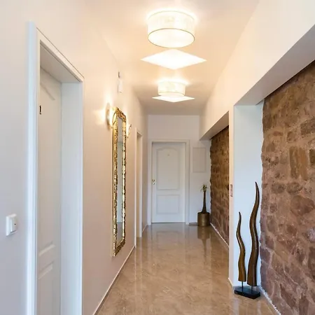 Tor אורחן נידגן